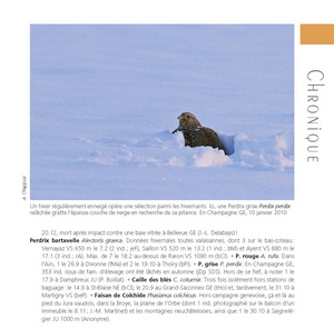[CHRO]