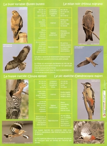 [Calendrier]