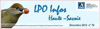 [LPO]
