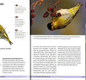[Oiseaux jardins 1]