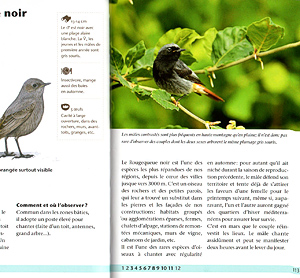 [Oiseaux jardins 3]